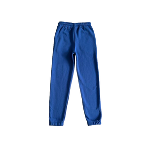 ENSEMBLE JOGGING TRAPSTAR -gradient arch tracksuit BLUE