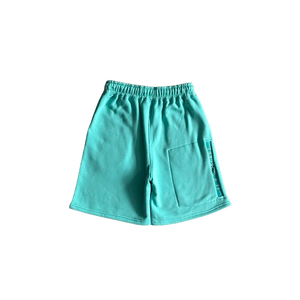 ENSEMBLE SHORT X T-SHIRT TRAPSTAR -chenille decoded 2.0 shorts tiffany blue