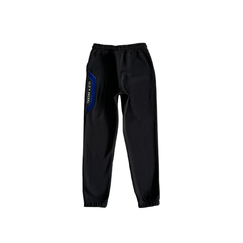 ENSEMBLE JOGGING TRAPSTAR - irongate tracksuit BLUE