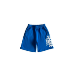 ENSEMBLE SHORT X T-SHIRT SYNA WORLD BLUE /WHITE